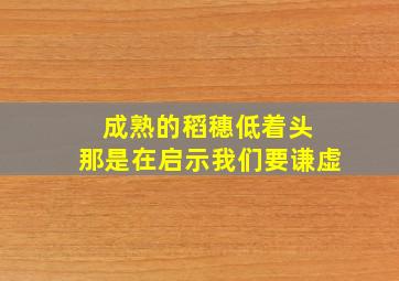 成熟的稻穗低着头 那是在启示我们要谦虚